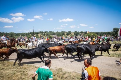 Imágenes de la jornada del Jueves La Saca, día grande de las Fiestas de San Juan
