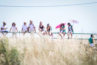 Imágenes de la jornada del Jueves La Saca, día grande de las Fiestas de San Juan