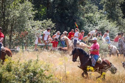 Imágenes de la jornada del Jueves La Saca, día grande de las Fiestas de San Juan