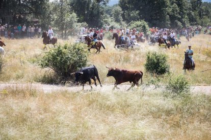 Imágenes de la jornada del Jueves La Saca, día grande de las Fiestas de San Juan