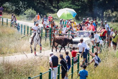 Imágenes de la jornada del Jueves La Saca, día grande de las Fiestas de San Juan