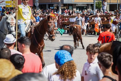 Imágenes de la jornada del Jueves La Saca, día grande de las Fiestas de San Juan