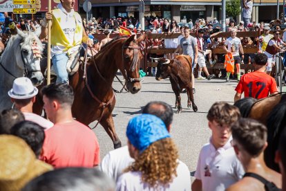 Imágenes de la jornada del Jueves La Saca, día grande de las Fiestas de San Juan