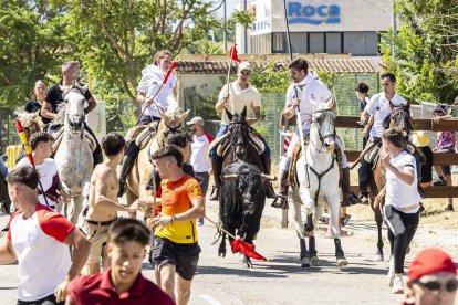 Imágenes de la jornada del Jueves La Saca, día grande de las Fiestas de San Juan