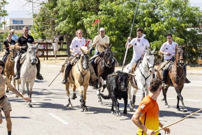Imágenes de la jornada del Jueves La Saca, día grande de las Fiestas de San Juan