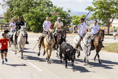 Imágenes de la jornada del Jueves La Saca, día grande de las Fiestas de San Juan