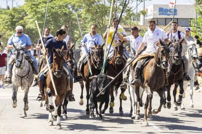Imágenes de la jornada del Jueves La Saca, día grande de las Fiestas de San Juan