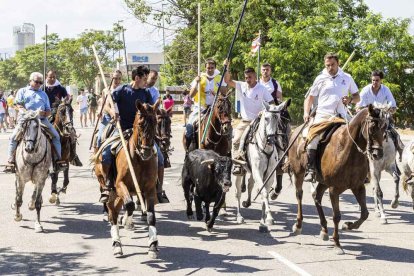 Imágenes de la jornada del Jueves La Saca, día grande de las Fiestas de San Juan
