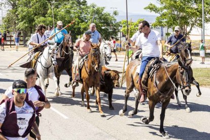 Imágenes de la jornada del Jueves La Saca, día grande de las Fiestas de San Juan