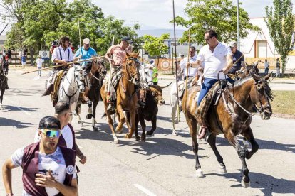 Imágenes de la jornada del Jueves La Saca, día grande de las Fiestas de San Juan