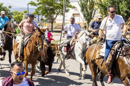 Imágenes de la jornada del Jueves La Saca, día grande de las Fiestas de San Juan