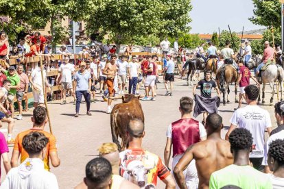 Imágenes de la jornada del Jueves La Saca, día grande de las Fiestas de San Juan