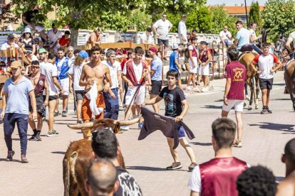 Imágenes de la jornada del Jueves La Saca, día grande de las Fiestas de San Juan