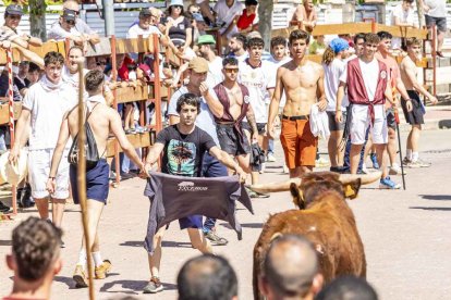 Imágenes de la jornada del Jueves La Saca, día grande de las Fiestas de San Juan