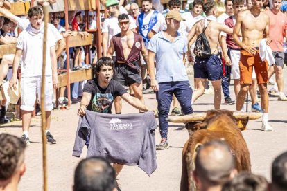 Imágenes de la jornada del Jueves La Saca, día grande de las Fiestas de San Juan