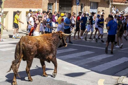 Imágenes de la jornada del Jueves La Saca, día grande de las Fiestas de San Juan