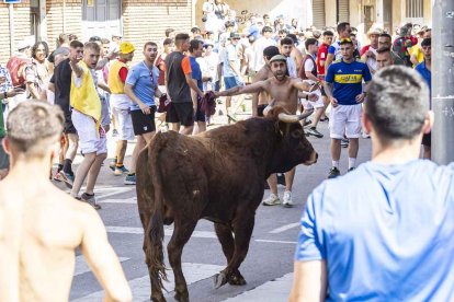 Imágenes de la jornada del Jueves La Saca, día grande de las Fiestas de San Juan