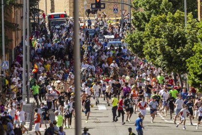 Imágenes de la jornada del Jueves La Saca, día grande de las Fiestas de San Juan