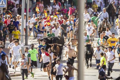 Imágenes de la jornada del Jueves La Saca, día grande de las Fiestas de San Juan