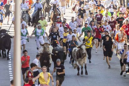 Imágenes de la jornada del Jueves La Saca, día grande de las Fiestas de San Juan