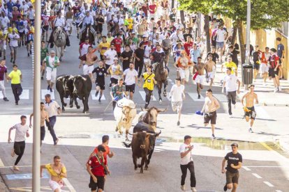 Imágenes de la jornada del Jueves La Saca, día grande de las Fiestas de San Juan