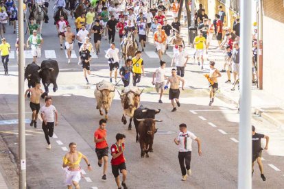 Imágenes de la jornada del Jueves La Saca, día grande de las Fiestas de San Juan