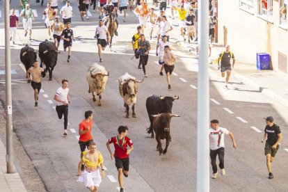 Imágenes de la jornada del Jueves La Saca, día grande de las Fiestas de San Juan