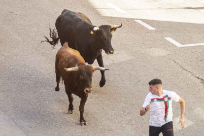 Imágenes de la jornada del Jueves La Saca, día grande de las Fiestas de San Juan