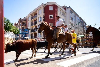 Imágenes de la jornada del Jueves La Saca, día grande de las Fiestas de San Juan