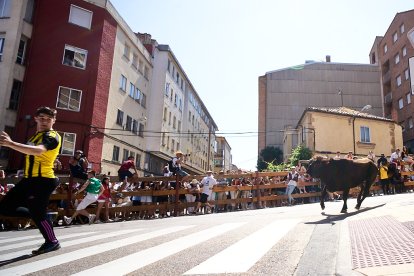 Imágenes de la jornada del Jueves La Saca, día grande de las Fiestas de San Juan