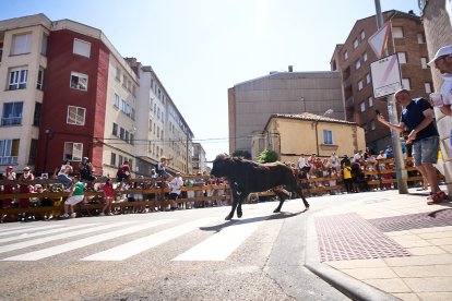 Imágenes de la jornada del Jueves La Saca, día grande de las Fiestas de San Juan