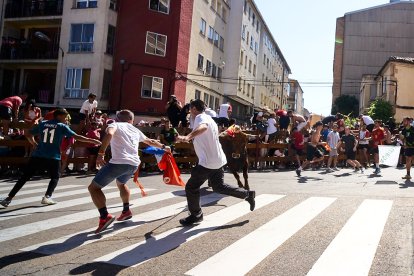 Imágenes de la jornada del Jueves La Saca, día grande de las Fiestas de San Juan