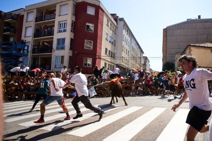Imágenes de la jornada del Jueves La Saca, día grande de las Fiestas de San Juan