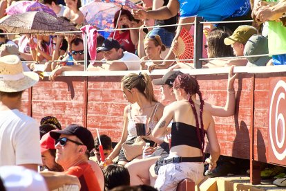 Las vaquillas tras recoger a los toros de La Saca prolongan el ambiente en el coso de San Benito.