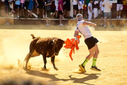 Las vaquillas tras recoger a los toros de La Saca prolongan el ambiente en el coso de San Benito.