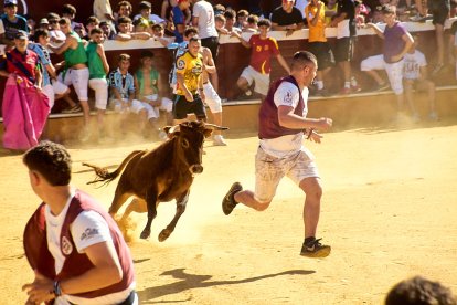 Las vaquillas tras recoger a los toros de La Saca prolongan el ambiente en el coso de San Benito.