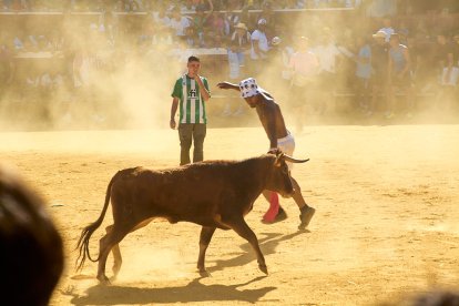 Las vaquillas tras recoger a los toros de La Saca prolongan el ambiente en el coso de San Benito.