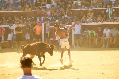 Las vaquillas tras recoger a los toros de La Saca prolongan el ambiente en el coso de San Benito.