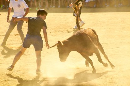 Las vaquillas tras recoger a los toros de La Saca prolongan el ambiente en el coso de San Benito.