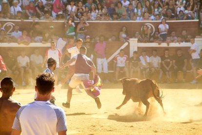 Las vaquillas tras recoger a los toros de La Saca prolongan el ambiente en el coso de San Benito.