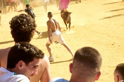 Las vaquillas tras recoger a los toros de La Saca prolongan el ambiente en el coso de San Benito.