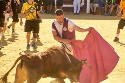 Las vaquillas tras recoger a los toros de La Saca prolongan el ambiente en el coso de San Benito.