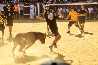 Las vaquillas tras recoger a los toros de La Saca prolongan el ambiente en el coso de San Benito.
