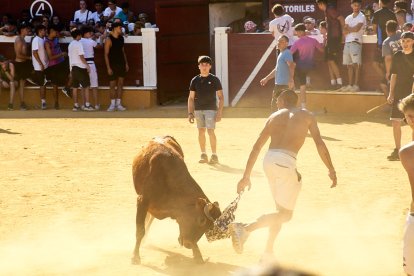 Las vaquillas tras recoger a los toros de La Saca prolongan el ambiente en el coso de San Benito.