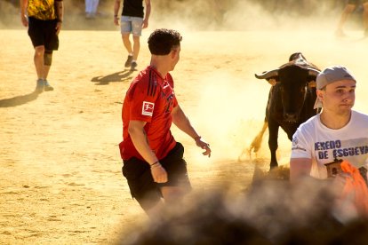Las vaquillas tras recoger a los toros de La Saca prolongan el ambiente en el coso de San Benito.