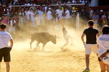 Las vaquillas tras recoger a los toros de La Saca prolongan el ambiente en el coso de San Benito.