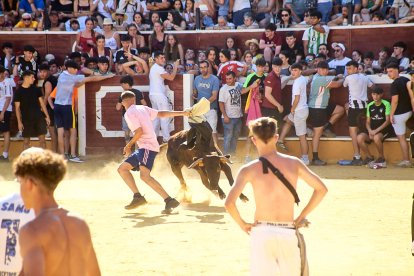 Las vaquillas tras recoger a los toros de La Saca prolongan el ambiente en el coso de San Benito.