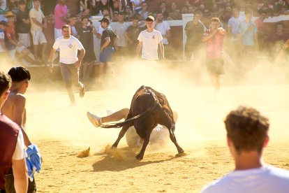 Las vaquillas tras recoger a los toros de La Saca prolongan el ambiente en el coso de San Benito.