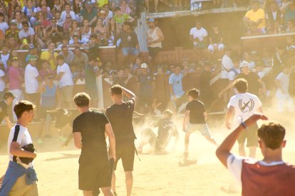 Las vaquillas tras recoger a los toros de La Saca prolongan el ambiente en el coso de San Benito.