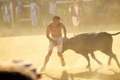 Las vaquillas tras recoger a los toros de La Saca prolongan el ambiente en el coso de San Benito.